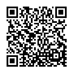 又强迫自己把精力投注到了文件之内――没有经过她的审查二维码生成
