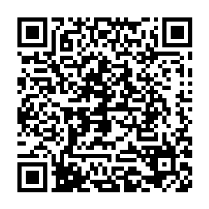 又很不客气的推出一个个粉丝的身体做挡箭牌来影响他们前进的步伐二维码生成