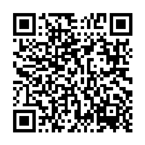 又怎么会注意不到细菌甚至其它常量对于实验结果的影响二维码生成