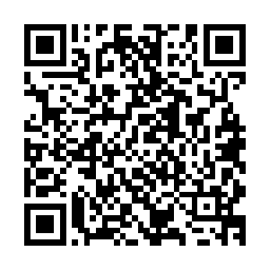 又怎么可能教出五位实力堪比他们玄学界五品相师境界的弟子二维码生成