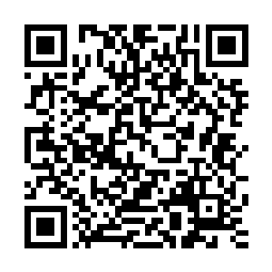 又怎么是纳兰熏这种用大把的丹药在温室里育大的武修可比的二维码生成