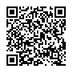 又怎会对一个一动不动的人用心精心照顾了十几年还不放弃二维码生成