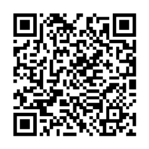 又怎没有考虑到你们会运功逼毒和自断中毒的身体部位二维码生成