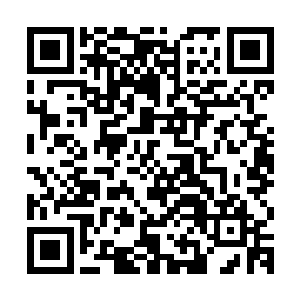 又思维混乱无从说起――今天仙舰集群的事情给他们冲击太大了二维码生成