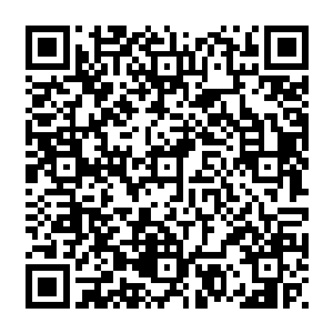 又惊疑不定的发现周围那些明明完全清醒过来的妖族竟是毫无例外的均无视了他们二维码生成