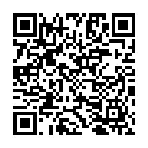 又或者是他们发现赵虎这边拿着武器的壮汉比他们多几倍二维码生成