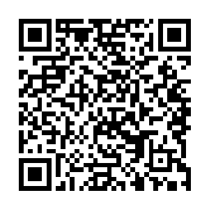 又或者是因为他毕竟没有经历过这等超矢规模死伤的场景二维码生成