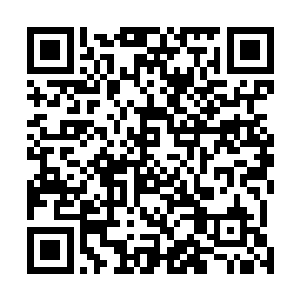 又或许是因为这四大魔王的力量已经侵入庇护所世界太深二维码生成