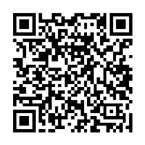又把一把大号的军用短刀调整到了最舒适最顺手的位置二维码生成