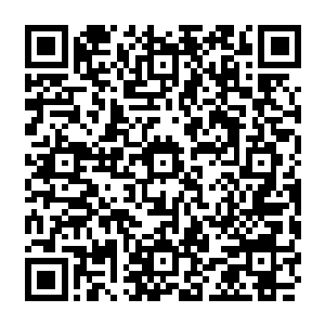 又是为了什么……为何在那之后却又不对左相府继续动手了……这里面定然别有蹊跷二维码生成