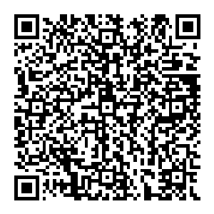 又是轰的一声传來 他这一掌竟是硬生生的将血魔那庞大身躯打得遍体鳞伤 到处都是裂缝 鲜血像是不要钱般款款而下二维码生成