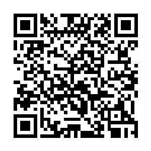 又有了希望般的灼亮和不知是紧张还是无意识的磕巴追问二维码生成