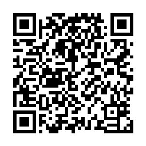 又羞又气又羡慕嫉妒恨……鲍虎从来没有过这样复杂的情绪二维码生成