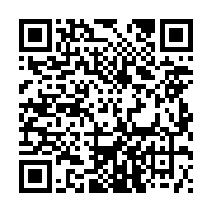 又能用螺旋桨作为飞行动力的为张铁量身打造的私人飞机……二维码生成