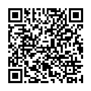 又被一旁的墨卿书等人眼疾手快地用武器挡了回去二维码生成