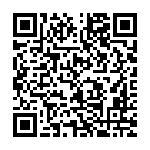 及时苏叶在刀剑逐世中潜意识的展现的的确确有些地方值得肯定二维码生成