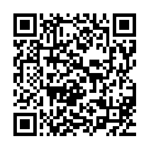 双方之间的实力相差太过悬殊――修行界野花初开的那个年代二维码生成