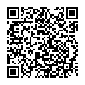 双方的信任还远远没有达到那个程度……可就算是给了一枚灵鹫丹二维码生成