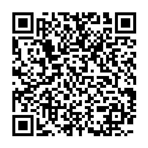 双爪金龙和生命之树一起竟然轰击出了一条连接人界和鬼界的通道二维码生成