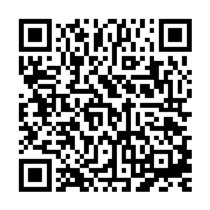 双生鬼灵正用其锋利的指甲把其胳膊上的皮肉给划成一条一条的二维码生成