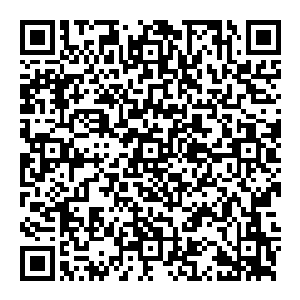 双眼放光 这妖异在镇世铜棺的爆炸之下 全身鳞甲脱落 除了头上的弯角之外 全身上下 便沒有一处完整的地方二维码生成