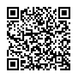 双眼淡而无色的沙悟净飞遁于似乎有一个宇宙距离的扶桑古树二维码生成