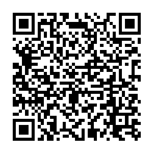 反倒是一条绿色的小蛇慢慢悠悠的从他的掌缝之间慢慢的游了出来二维码生成
