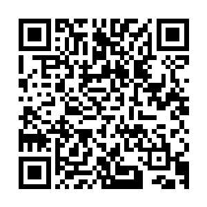 反倒是他交给拍卖会的驻颜丹以每科一千万中品灵石的价格成交二维码生成