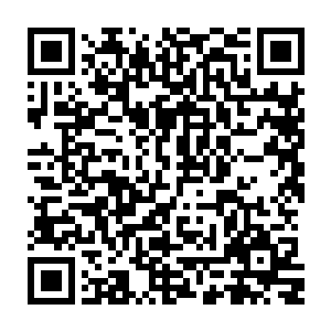 反倒是他神国之中的那些异形人和妖兽异形却纷纷仿佛是受到了巨大打击一般二维码生成