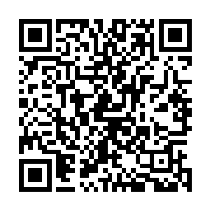 反倒是宫本被捅了一个正着……这样的一幕实在是太讽刺了二维码生成