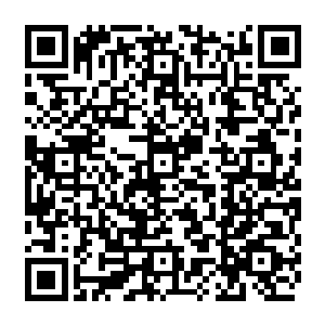 反倒是把小杨的手都给弄断了……这家伙不会是什么隐世高手传授高深武功的人吧二维码生成