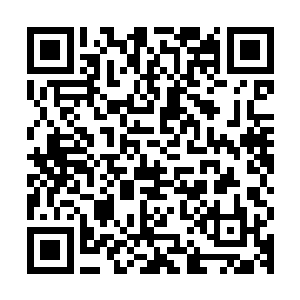 反倒是把自己的徒弟给硬生生的打死了……这固然是秦方的速度二维码生成