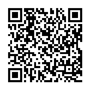 反倒是杨开的每一次扑击都会迎来狂风暴雨一般的反击二维码生成