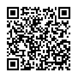 反倒是被大树压倒下来的冲击力给撞得跌倒在地二维码生成