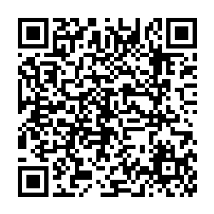 反倒觉得就这么看着言左左的一举一动一颦一笑是一种很好的享受二维码生成