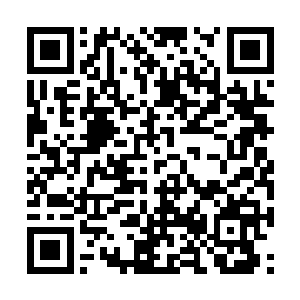 反正今日的宴会便是将奴家介绍给各位认识不是吗二维码生成