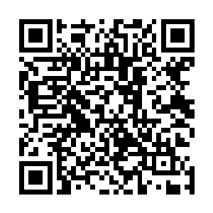 反正他已经和这拨弄自己命运的家伙不死不休耗上一辈子了二维码生成