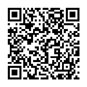 反正他现在真正的目的是击败对手增加地府判官赌约的积分二维码生成