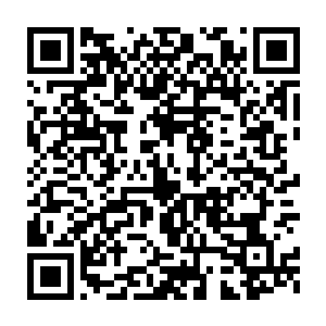 反正以如今混沌兽和域外天魔的实力根本不可能攻破太虚宗的护宗大阵二维码生成