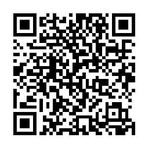 反正以我们修真者的速度御剑飞行也不会耽误太长的时间的二维码生成