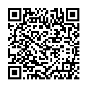 反正你又有一个弟弟……我便是不娶也无所谓了……二维码生成