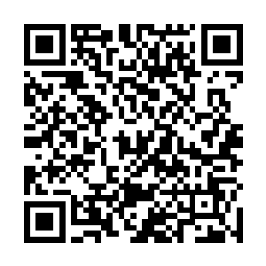反正可以大致确定的是已经找到让透明鱼繁殖的办法了二维码生成