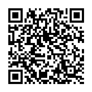反正和雨果的第一次见面时她也没有刻意隐藏过真实的自己二维码生成