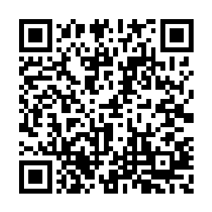 反正就是飞啊飞啊飞啊飞啊飞啊飞啊的就飞走了二维码生成