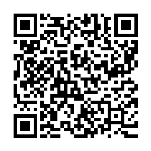 反正归墟之主也是打算重新选择适合的人来继承归墟之主的位置二维码生成