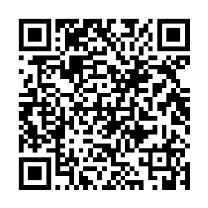 反正我们俩的卧室都只是比你的卧室稍微大一点点而已二维码生成