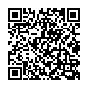 反正我俩表面上确实是没有轮回果……就是阴阳圣果在身上了二维码生成