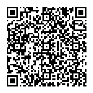 反正我用半只羊的价格换来的那几个的会魔术的半吊子也不可能给战士学院的正规战士老爷们造成什么麻烦二维码生成