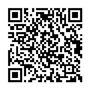 反正现在戴家的家主也是完全看不到这里的攻击二维码生成