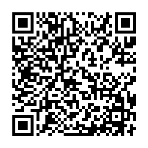 反正秦方自己是不太在意的……否则他也不会主动跟着一起过来了二维码生成